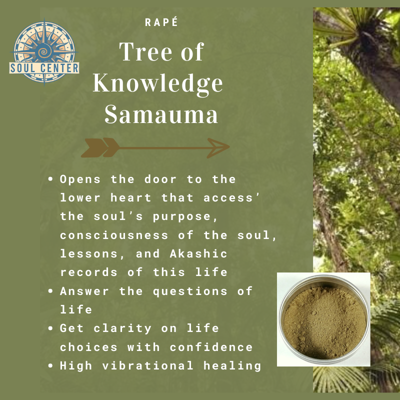 Tree of Knowledge Samauma rapé soul center